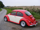 Beetle 015.jpg